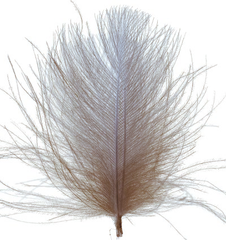 Fjer - Swiss CDC Super Select