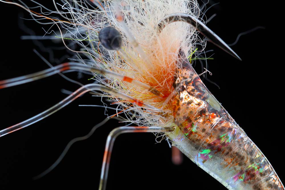 Fiskegrej Nordicanglers