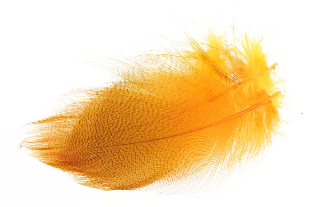 Mallard Duck Flank Large Selected - Fl. Orange