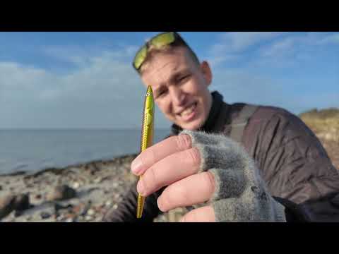 Indlæs video: