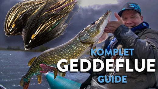 Fang en gedde på flue guide