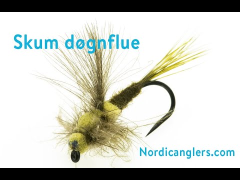 Fluebinding: Skum-CDC-døgnflue trin for trin