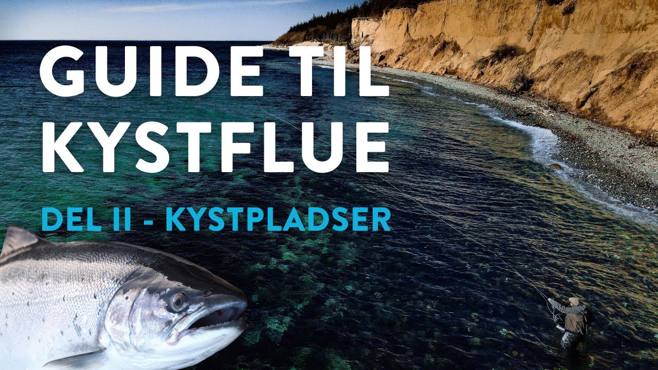 Fluefiskeri på kysten guide