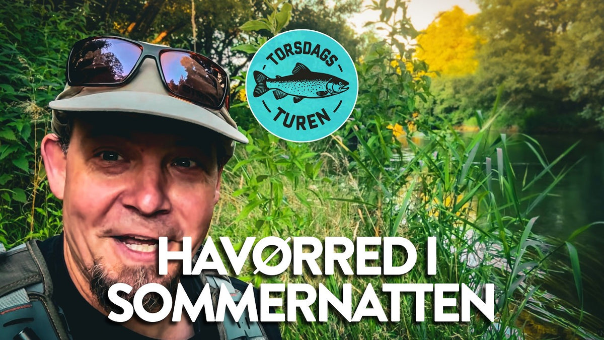 Torsdagsturen: Sommerferie i ådalen