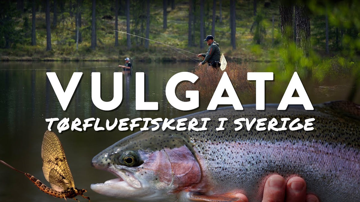 Fluebinding: Døgnfluens stadier og imitationer