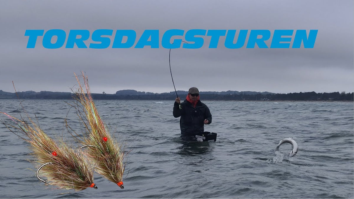 Torsdagsturen: På jagt efter fisk i efterårsvinden