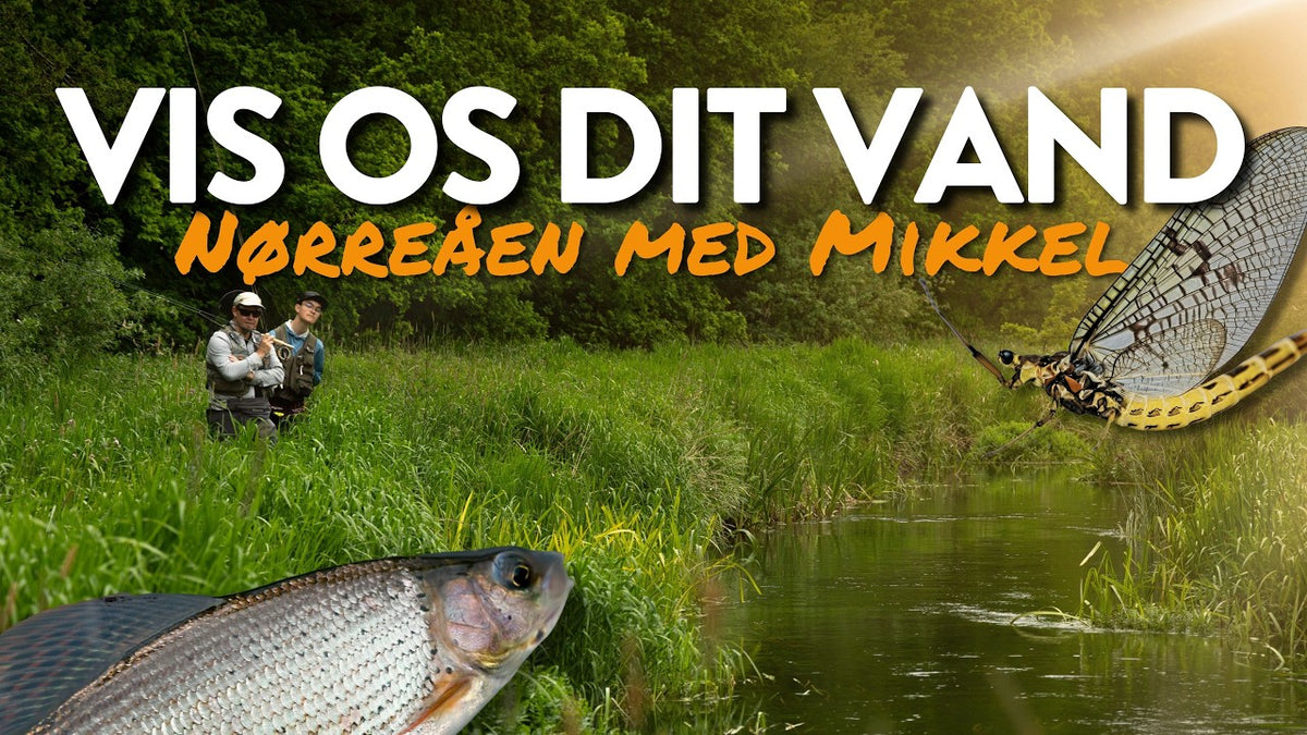 Vis os dit vand – på bækørredjagt i Sønderjylland med Mikkel