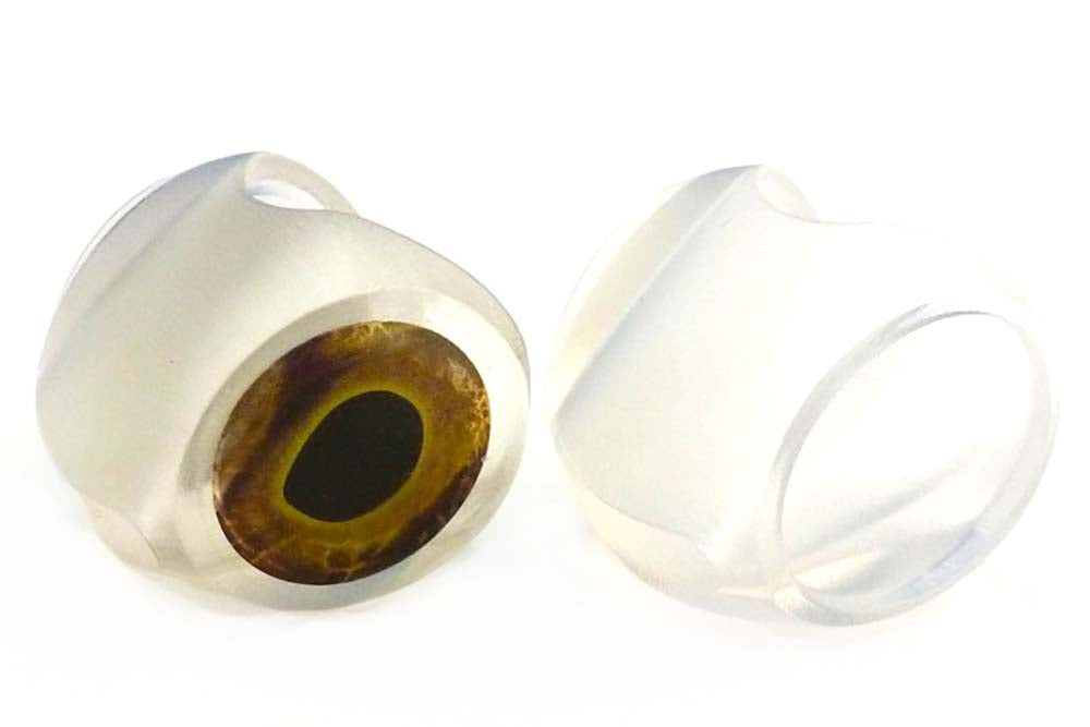 FishMask - Spawn Heads