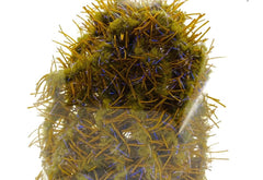 Kropsmaterialer - FNF Creeper