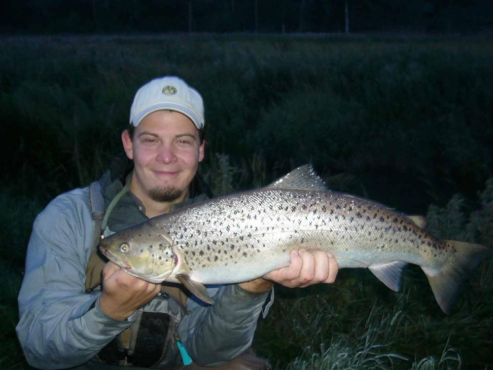 Select Marabou Plumes - Purple