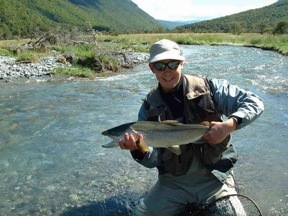 Swimming Caddis