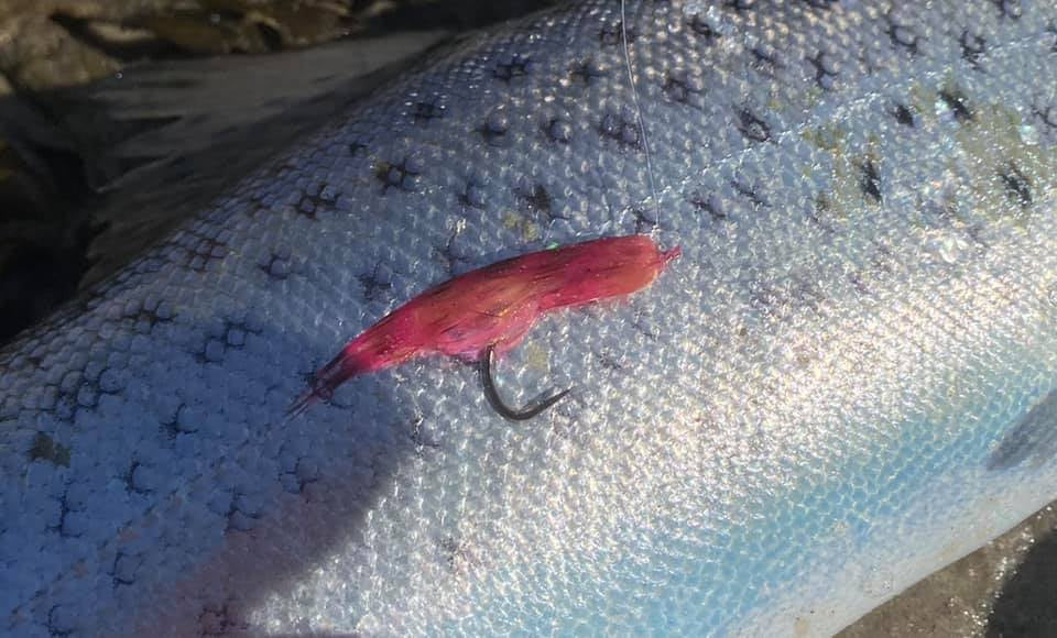 Materialesæt - Den evige flamme