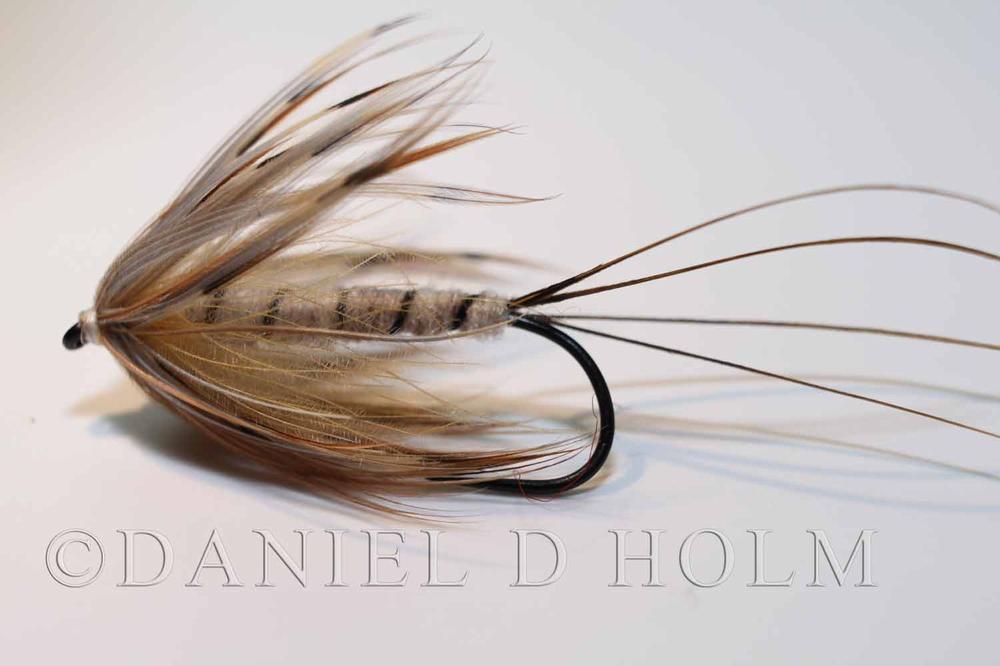 French Partridge - Golden Olive