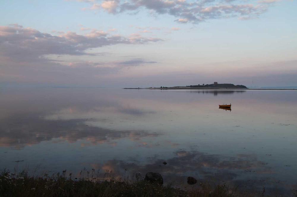 Hane Hackler - Natural Brown