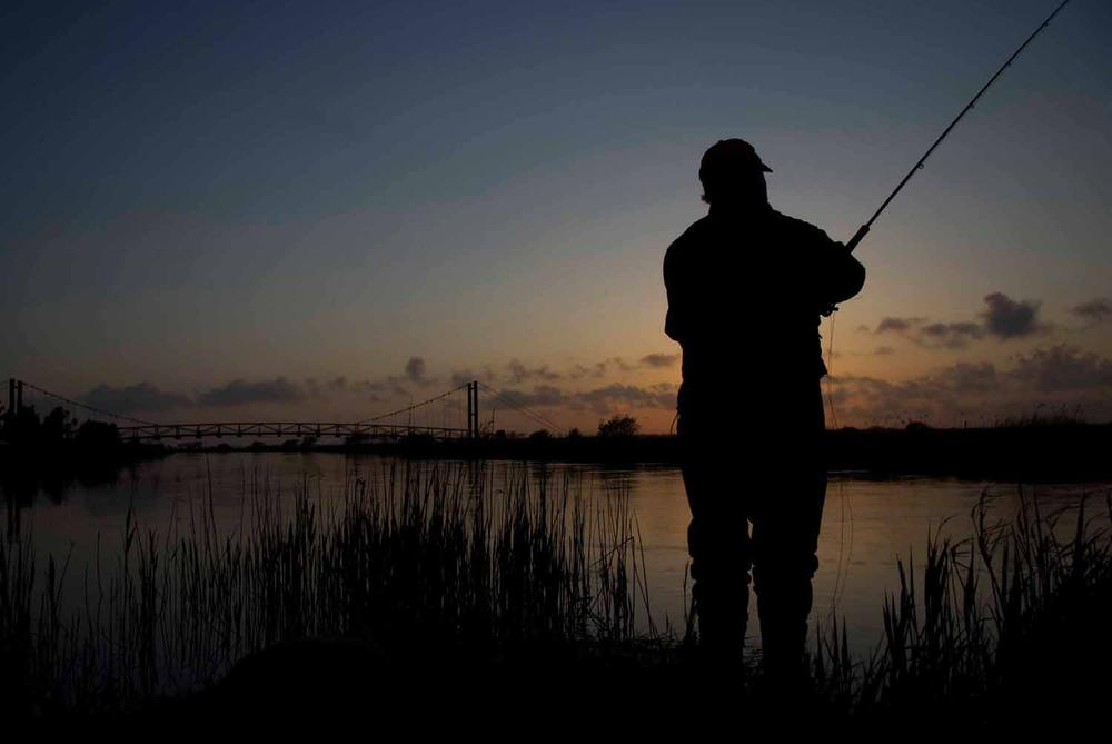3 mm Rabbit Zonkerstrip - White