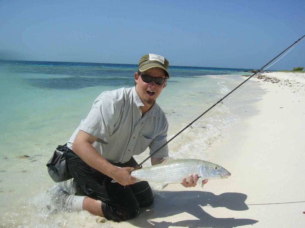 Fire Fly Flash - Yellow