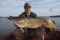 Flashabou Magnum - Pearl Chartreuse