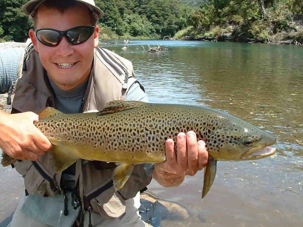 (Pro Grade) Whiting Red Label Dryfly - Natural Dun