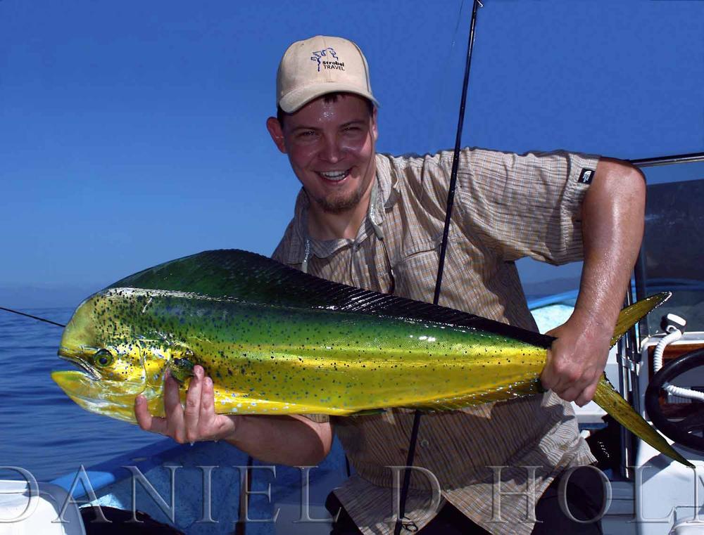 Steve Farrar Blend - UV White