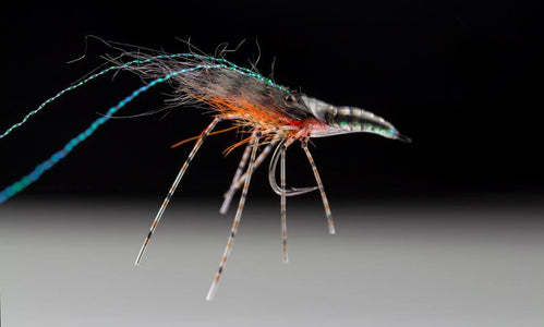Du tilføjede <b><u>Jonatan Ternald - Super shrimp</u></b> til kurven.