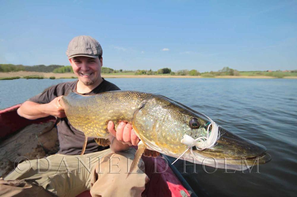 Double Barrel Popper - Chartreuse