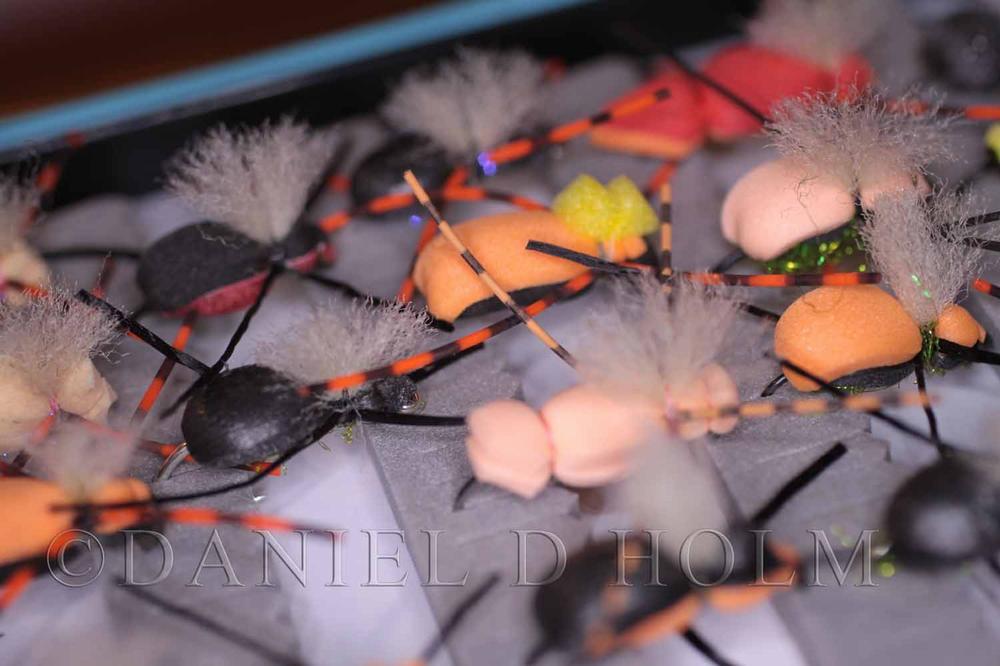 Wapsi Fly Foam Salmon Fly Orange