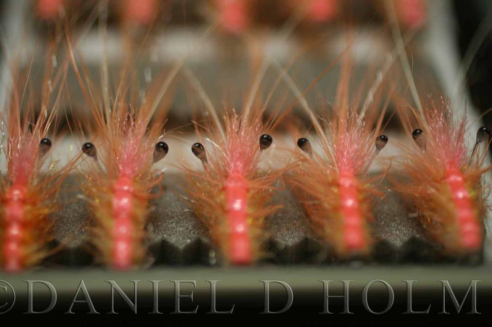 Whiting Coq de leon Cape - Badger Salmon Pink