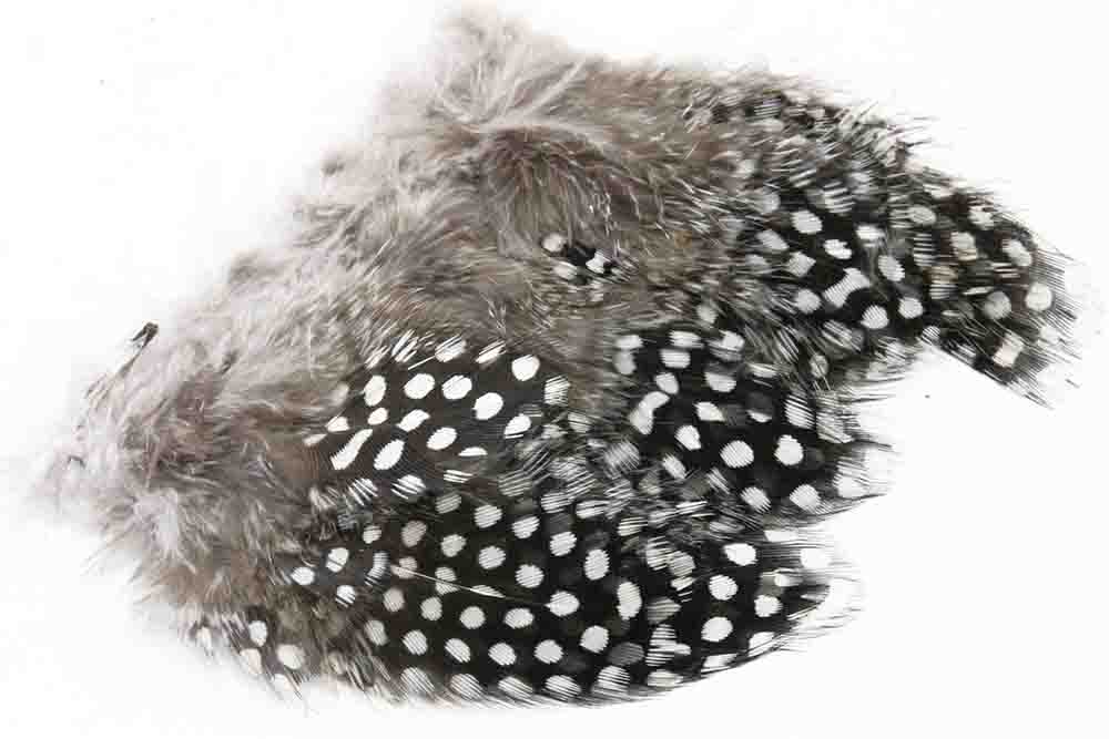 Perlehøne - Natural