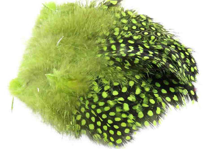 Du tilføjede <b><u>Perlehøne - Chartreuse</u></b> til kurven.