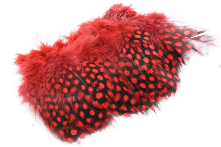 You added <b><u>Guinea Fowl - Red</u></b> to basket.