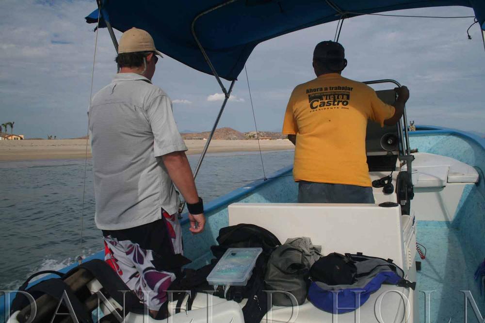 Bucktail Assortment (Piece) - 6 natural colors 