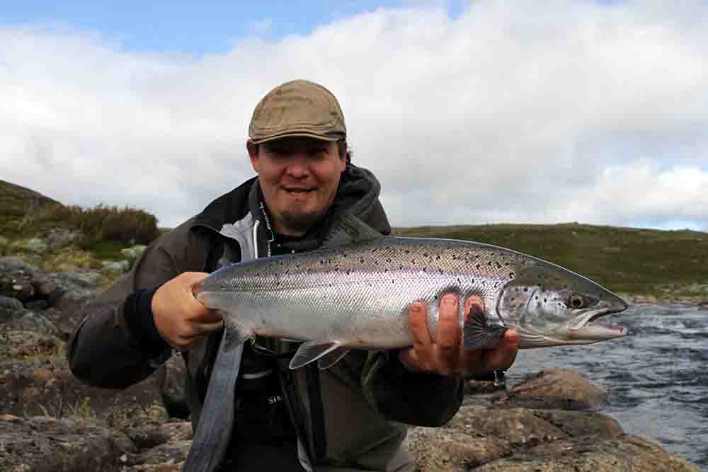 Antron Yarn Card - Fl. Shell Pink