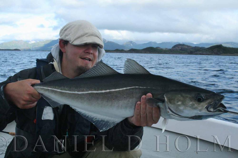 Steve Farrar 5" Big Baitfish Brush - Seablue