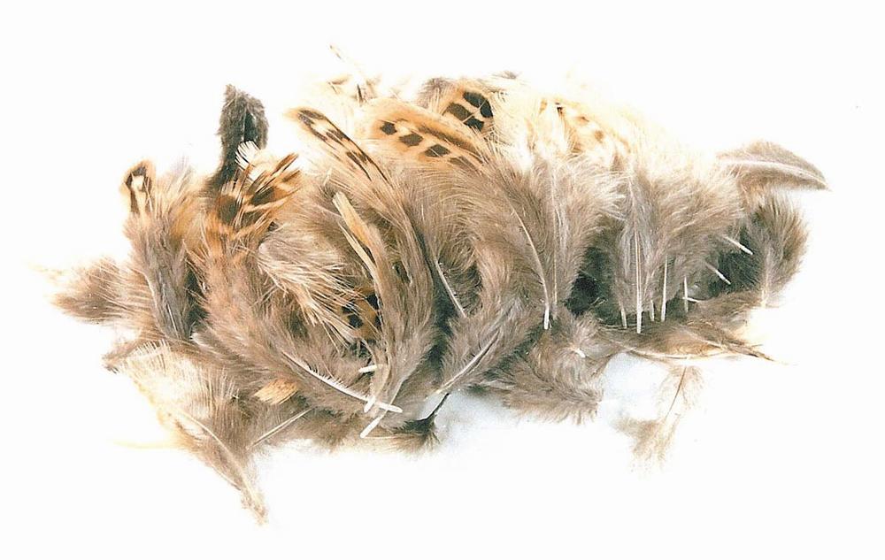 Agerhøne løse fjer - Natural