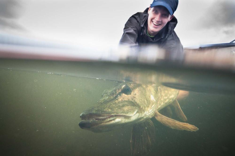 Articulated shanks - Flere størrelser