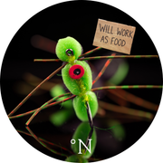 Will work as food - Sticker
