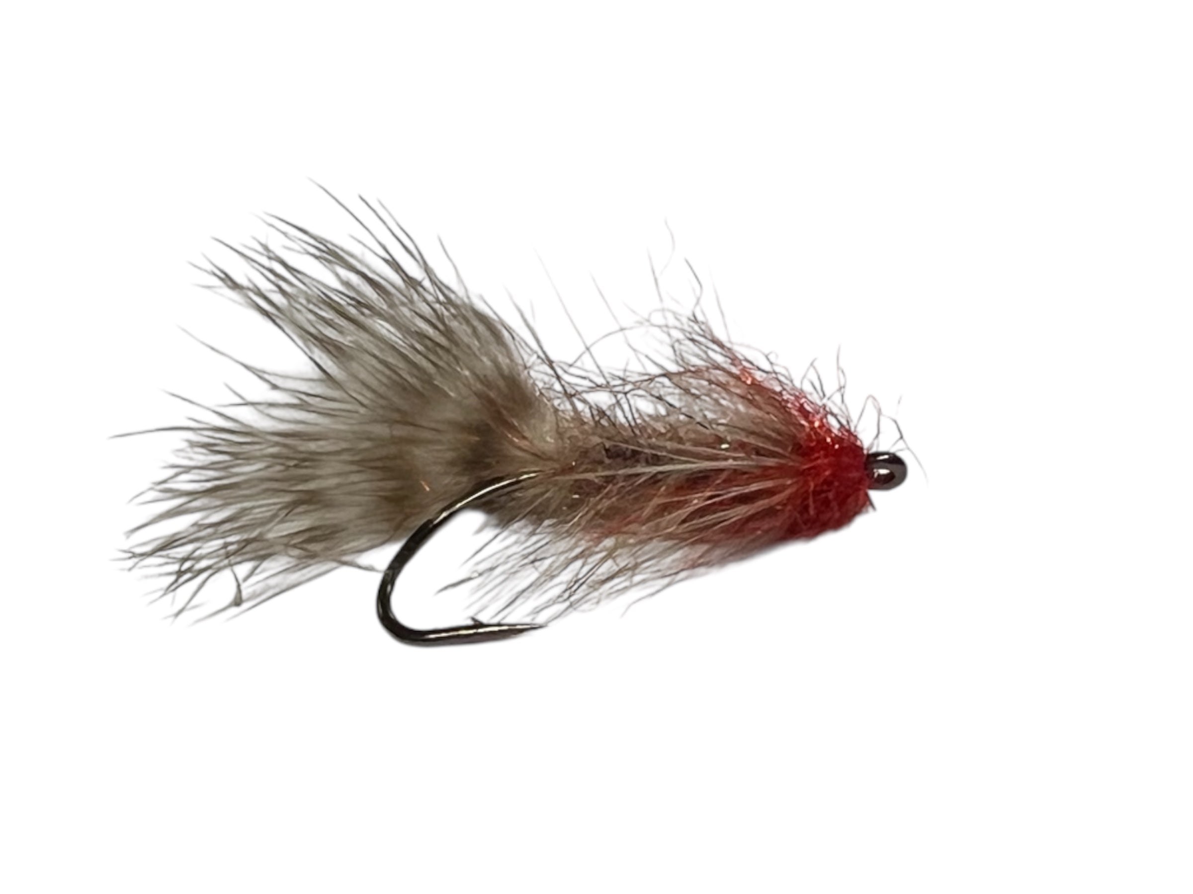 Cuthroat goby - caught in DK