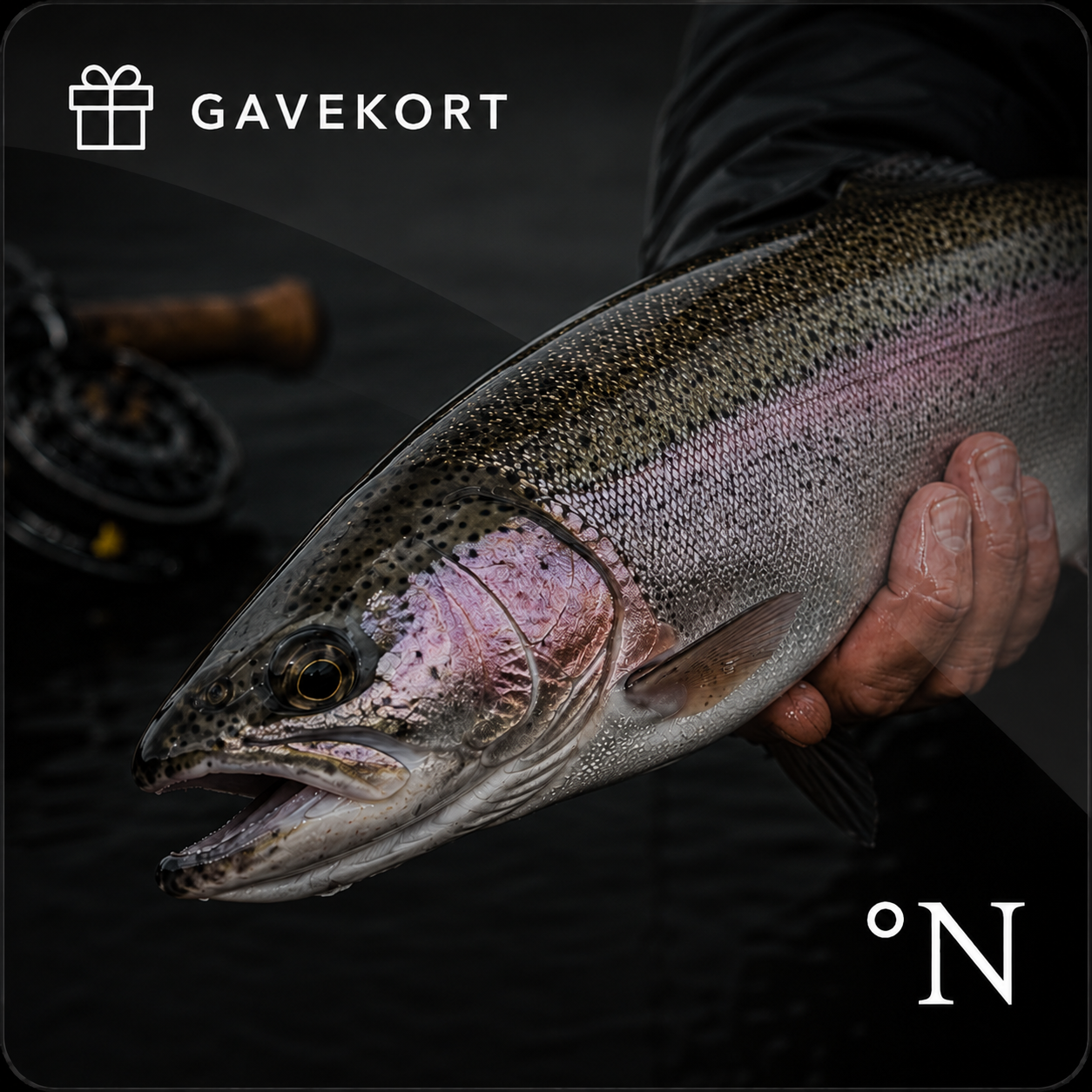 Gift certificate for fishing tackle - Nordicanglers.com