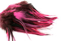 Hane Hackler Badger - Fl. Pink