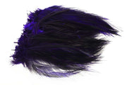 Hane Hackler Badger - Purple