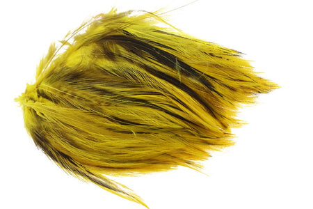 You added <b><u>Rooster Hackles Badger - Yellow</u></b> to basket.