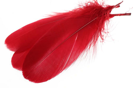 Du tilføjede <b><u>Gås Skulderfjer - Red</u></b> til kurven.