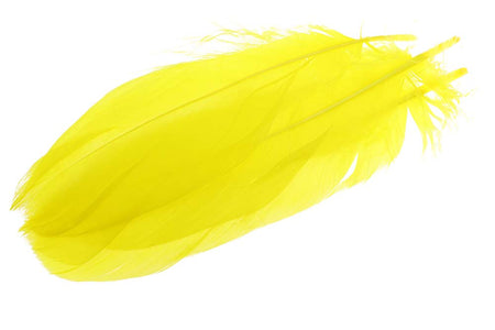 You added <b><u>Goose Shoulder Feathers - Yellow</u></b> to basket.