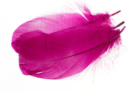 You added <b><u>Goose Shoulder Feathers - Magenta</u></b> to basket.