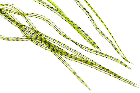 Du tilføjede <b><u>10+ Selected Flatwing/dryfly Feather - Grizzly Flou Chartreuse</u></b> til kurven.