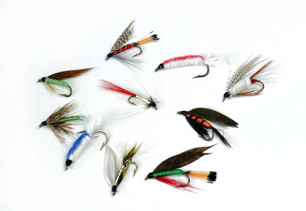 You added <b><u>10 mixed wet flies</u></b> to basket.