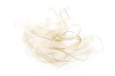Du tilføjede <b><u>Body Stretch - Tan</u></b> til kurven.