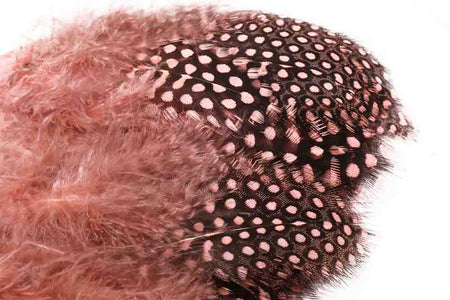 Du tilføjede <b><u>Perlehøne - Light Pink</u></b> til kurven.