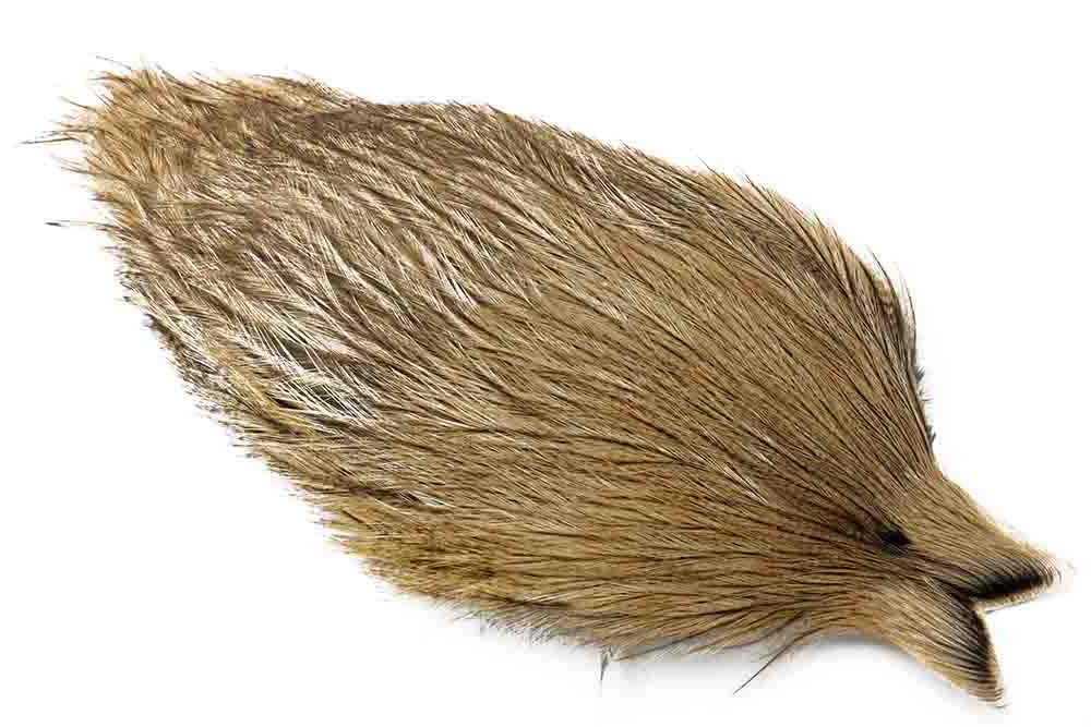 Whiting Coq de leon Cape - Light Pardo