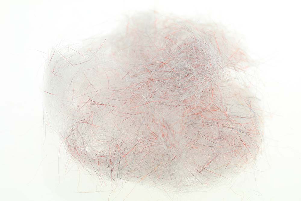 Senyo's Fusion Dub - Fishmas